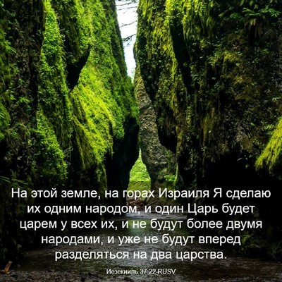 Picture 03 - Иезекииль 37:22 RUSV - На этой земле, на горах - Bible Verse Picture