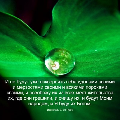 Picture 03 - Иезекииль 37:23 RUSV - И не будут уже осквернять - Bible Verse Picture