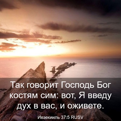 Picture 03 - Иезекииль 37:5 RUSV - Так говорит Господь Бог - Bible Verse Picture