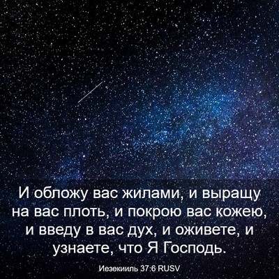 Picture 03 - Иезекииль 37:6 RUSV - И обложу вас жилами, и - Bible Verse Picture