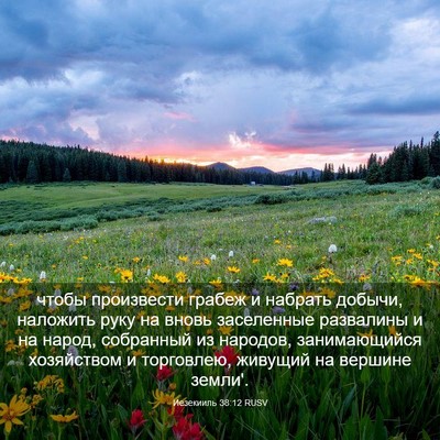 Picture 03 - Иезекииль 38:12 RUSV - чтобы произвести грабеж и - Bible Verse Picture
