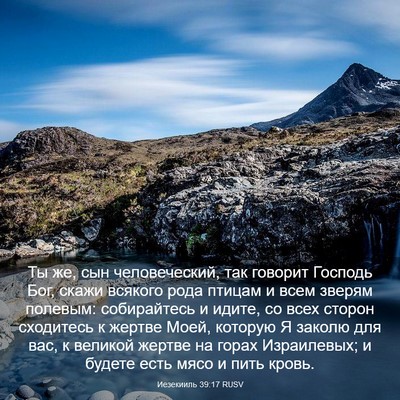 Picture 03 - Иезекииль 39:17 RUSV - Ты же, сын человеческий, - Bible Verse Picture