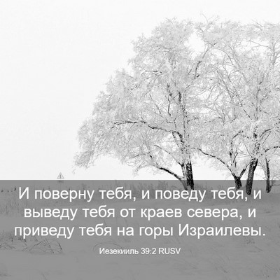 Picture 03 - Иезекииль 39:2 RUSV - И поверну тебя, и поведу - Bible Verse Picture