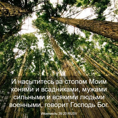 Picture 03 - Иезекииль 39:20 RUSV - И насытитесь за столом - Bible Verse Picture