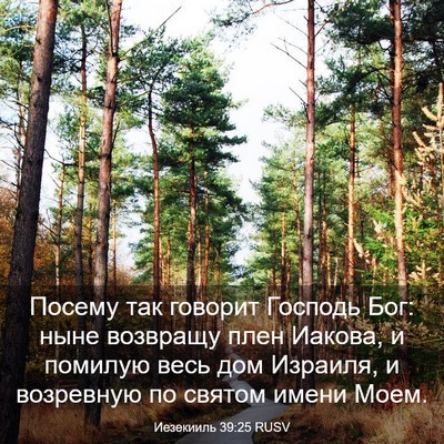Picture 03 - Иезекииль 39:25 RUSV - Посему так говорит Господь - Bible Verse Picture
