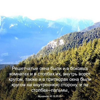 Picture 03 - Иезекииль 40:16 RUSV - Решетчатые окна были и в - Bible Verse Picture