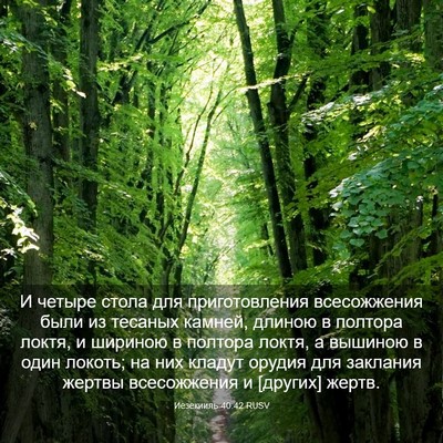 Picture 03 - Иезекииль 40:42 RUSV - И четыре стола для - Bible Verse Picture
