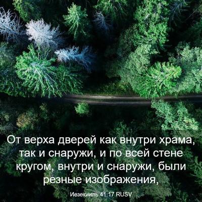 Picture 03 - Иезекииль 41:17 RUSV - От верха дверей как внутри - Bible Verse Picture
