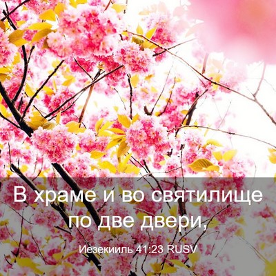 Picture 03 - Иезекииль 41:23 RUSV - В храме и во святилище по - Bible Verse Picture