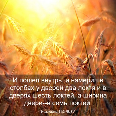 Picture 03 - Иезекииль 41:3 RUSV - И пошел внутрь, и намерил в - Bible Verse Picture