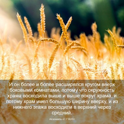 Picture 03 - Иезекииль 41:7 RUSV - И он более и более - Bible Verse Picture