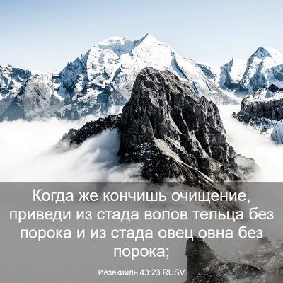Picture 03 - Иезекииль 43:23 RUSV - Когда же кончишь очищение, - Bible Verse Picture