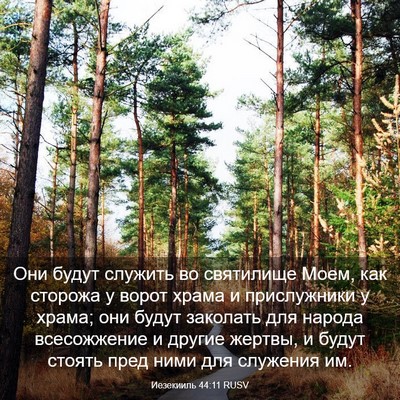 Picture 03 - Иезекииль 44:11 RUSV - Они будут служить во - Bible Verse Picture
