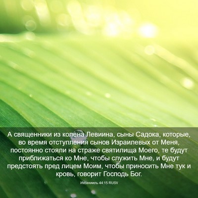 Picture 03 - Иезекииль 44:15 RUSV - А священники из колена - Bible Verse Picture