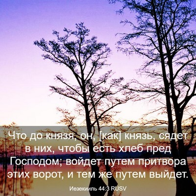 Picture 03 - Иезекииль 44:3 RUSV - Что до князя, он, [как] - Bible Verse Picture