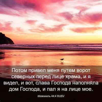 Picture 03 - Иезекииль 44:4 RUSV - Потом привел меня путем - Bible Verse Picture