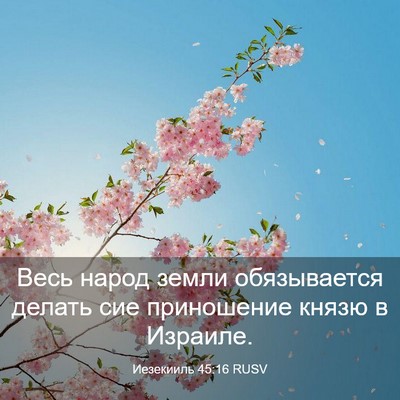 Picture 03 - Иезекииль 45:16 RUSV - Весь народ земли - Bible Verse Picture