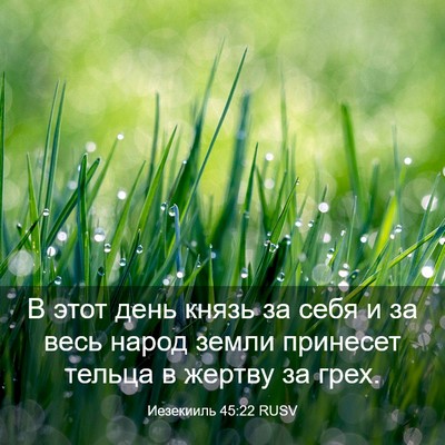 Picture 03 - Иезекииль 45:22 RUSV - В этот день князь за себя и - Bible Verse Picture