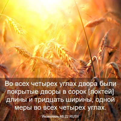 Picture 03 - Иезекииль 46:22 RUSV - Во всех четырех углах - Bible Verse Picture