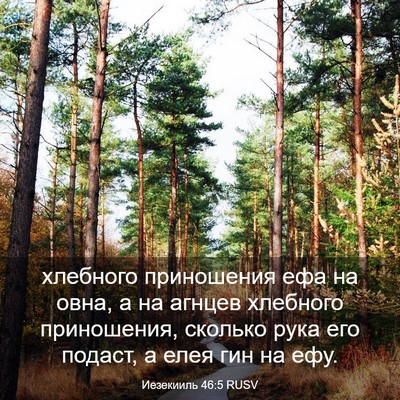 Picture 03 - Иезекииль 46:5 RUSV - хлебного приношения ефа на - Bible Verse Picture
