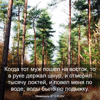 Picture 03 - Иезекииль 47:3 RUSV - Когда тот муж пошел на - Bible Verse Picture
