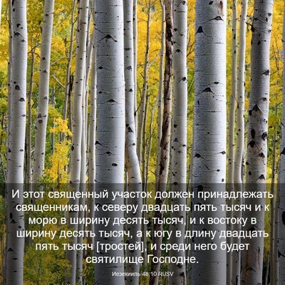 Picture 03 - Иезекииль 48:10 RUSV - И этот священный участок - Bible Verse Picture