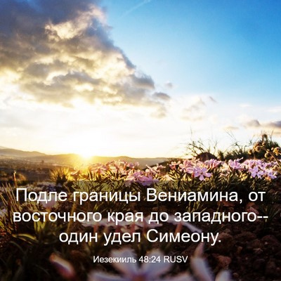 Picture 03 - Иезекииль 48:24 RUSV - Подле границы Вениамина, - Bible Verse Picture