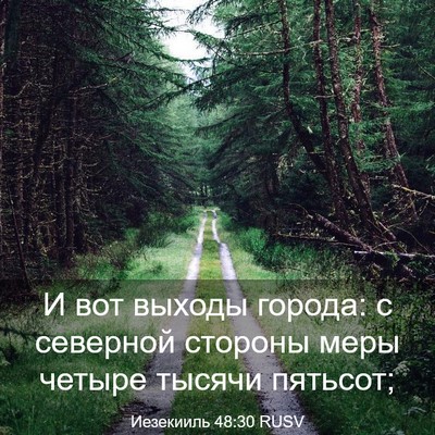 Picture 03 - Иезекииль 48:30 RUSV - И вот выходы города: с - Bible Verse Picture
