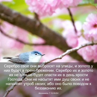 Picture 03 - Иезекииль 7:19 RUSV - Серебро свое они выбросят - Bible Verse Picture