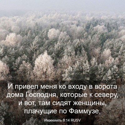 Picture 03 - Иезекииль 8:14 RUSV - И привел меня ко входу в - Bible Verse Picture