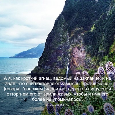 Picture 03 - Иеремия 11:19 RUSV - А я, как кроткий агнец, - Bible Verse Picture
