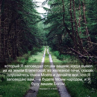 Picture 03 - Иеремия 11:4 RUSV - который Я заповедал отцам - Bible Verse Picture