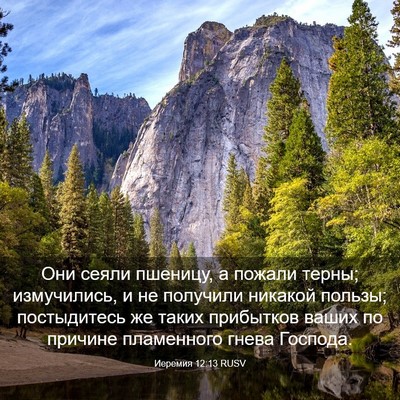 Picture 03 - Иеремия 12:13 RUSV - Они сеяли пшеницу, а пожали - Bible Verse Picture