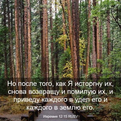 Picture 03 - Иеремия 12:15 RUSV - Но после того, как Я - Bible Verse Picture