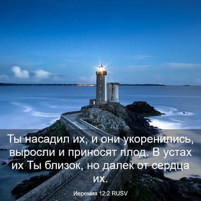 Picture 03 - Иеремия 12:2 RUSV - Ты насадил их, и они - Bible Verse Picture