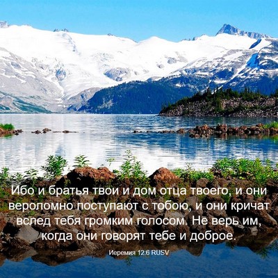 Picture 03 - Иеремия 12:6 RUSV - Ибо и братья твои и дом - Bible Verse Picture