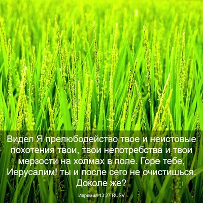 Picture 03 - Иеремия 13:27 RUSV - Видел Я прелюбодейство - Bible Verse Picture