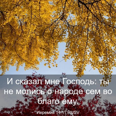 Picture 03 - Иеремия 14:11 RUSV - И сказал мне Господь: ты не - Bible Verse Picture