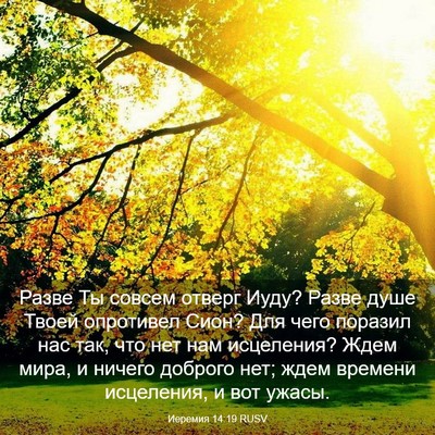 Picture 03 - Иеремия 14:19 RUSV - Разве Ты совсем отверг - Bible Verse Picture