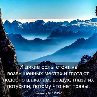 Picture 03 - Иеремия 14:6 RUSV - И дикие ослы стоят на - Bible Verse Picture
