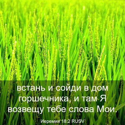 Picture 03 - Иеремия 18:2 RUSV - встань и сойди в дом - Bible Verse Picture