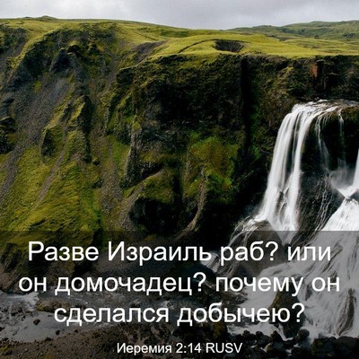 Picture 03 - Иеремия 2:14 RUSV - Разве Израиль раб? или он - Bible Verse Picture