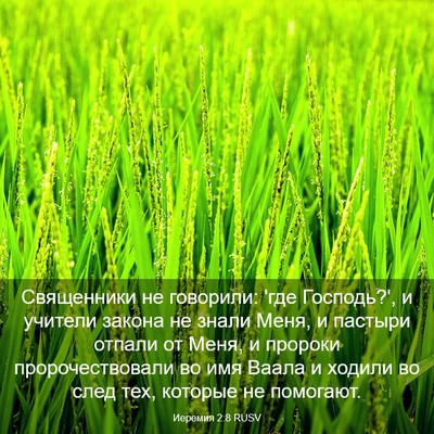 Picture 03 - Иеремия 2:8 RUSV - Священники не говорили: - Bible Verse Picture