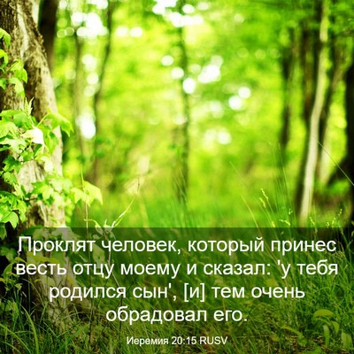 Picture 03 - Иеремия 20:15 RUSV - Проклят человек, который - Bible Verse Picture