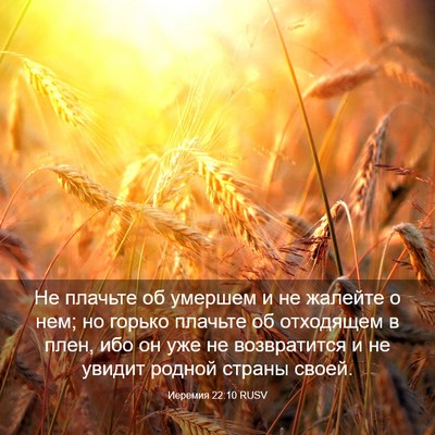 Picture 03 - Иеремия 22:10 RUSV - Не плачьте об умершем и не - Bible Verse Picture
