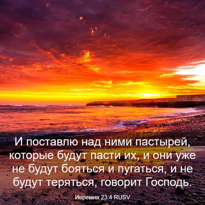 Picture 03 - Иеремия 23:4 RUSV - И поставлю над ними - Bible Verse Picture