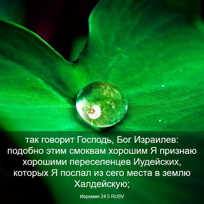 Picture 03 - Иеремия 24:5 RUSV - так говорит Господь, Бог - Bible Verse Picture