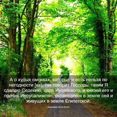 Picture 03 - Иеремия 24:8 RUSV - А о худых смоквах, которых - Bible Verse Picture