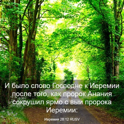 Picture 03 - Иеремия 28:12 RUSV - И было слово Господне к - Bible Verse Picture