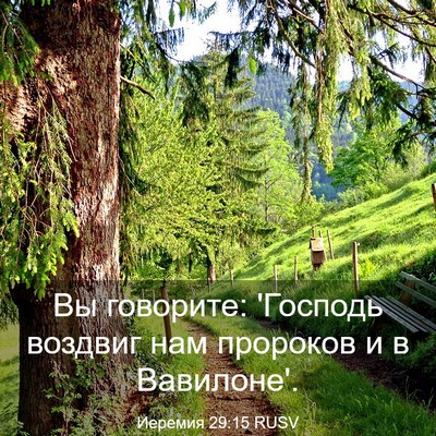 Picture 03 - Иеремия 29:15 RUSV - Вы говорите: 'Господь - Bible Verse Picture